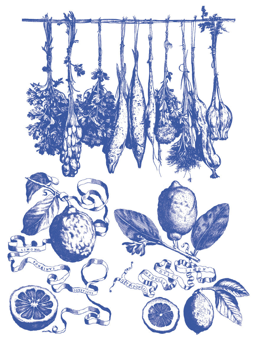 Paint Inlay | PORTOFINO | IOD Iron Orchid Designs
