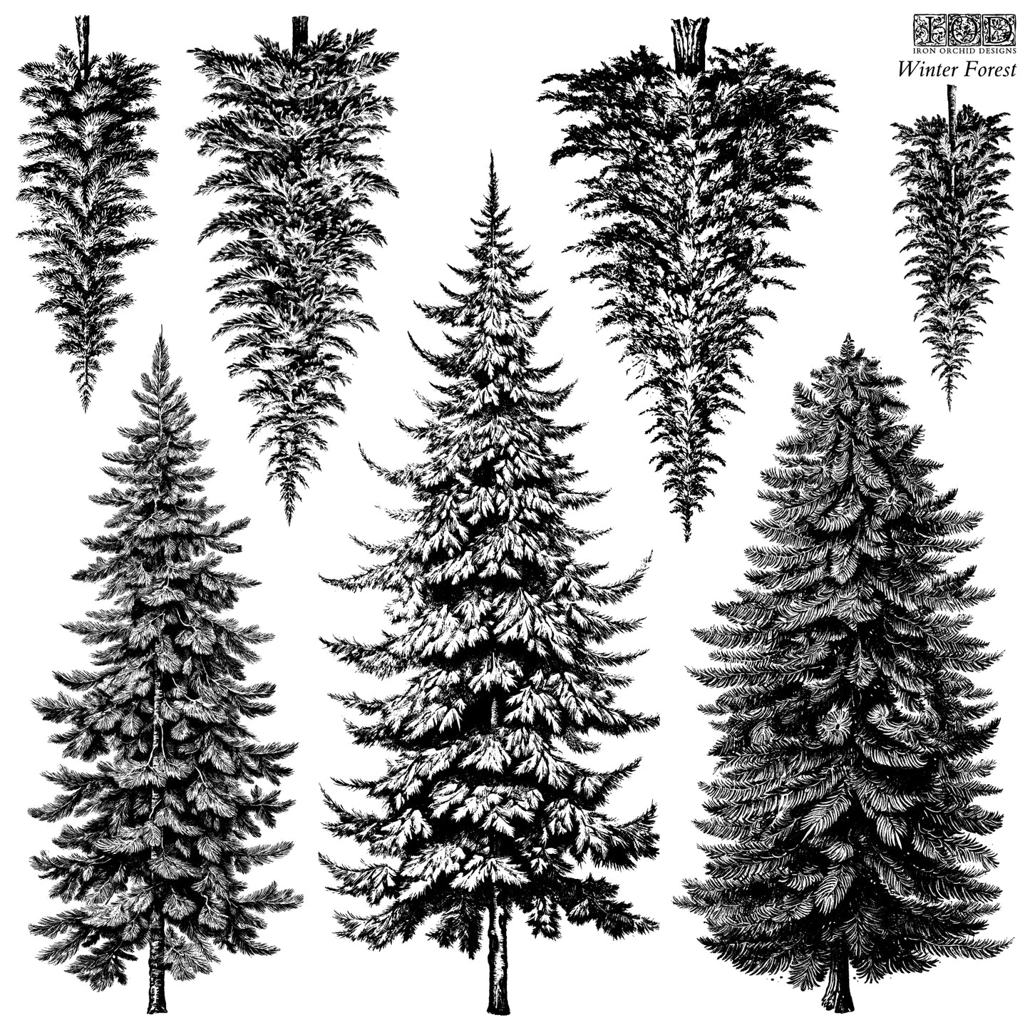 Stamp | WINTER FOREST | IOD Iron Orchid Designs