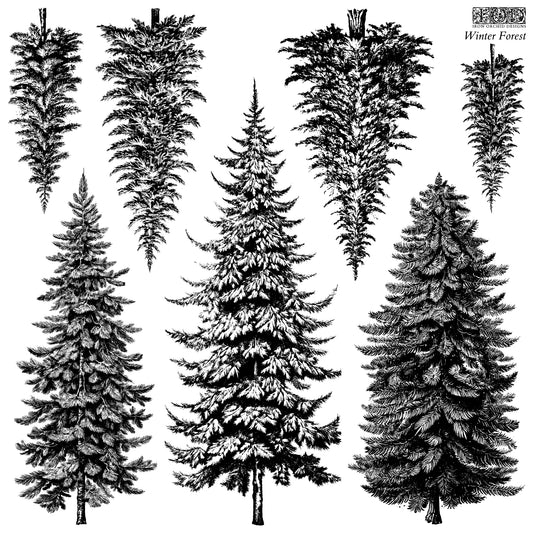 Stamp | WINTER FOREST | IOD Iron Orchid Designs