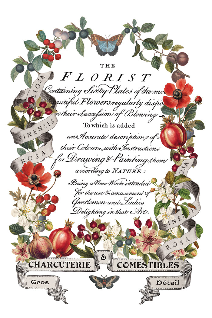 Transfer | CLEMENTINE | IOD Iron Orchid Designs