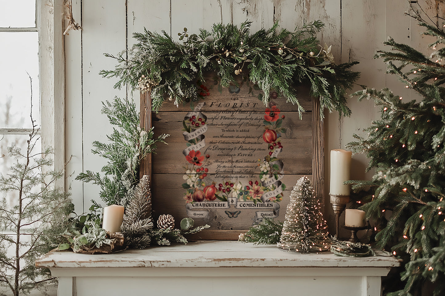 Transfer | CLEMENTINE | IOD Iron Orchid Designs