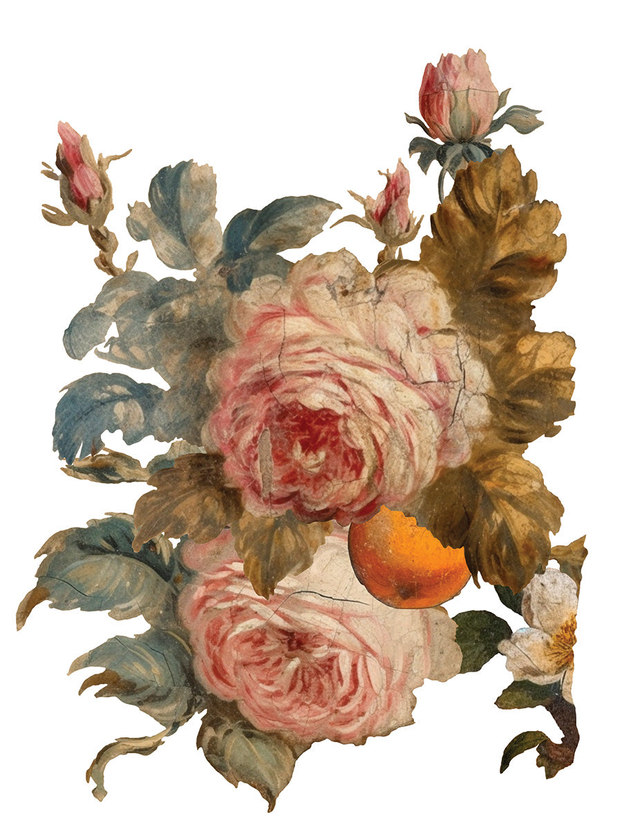 Transfer | JOIE DES ROSES | IOD Iron Orchid Designs