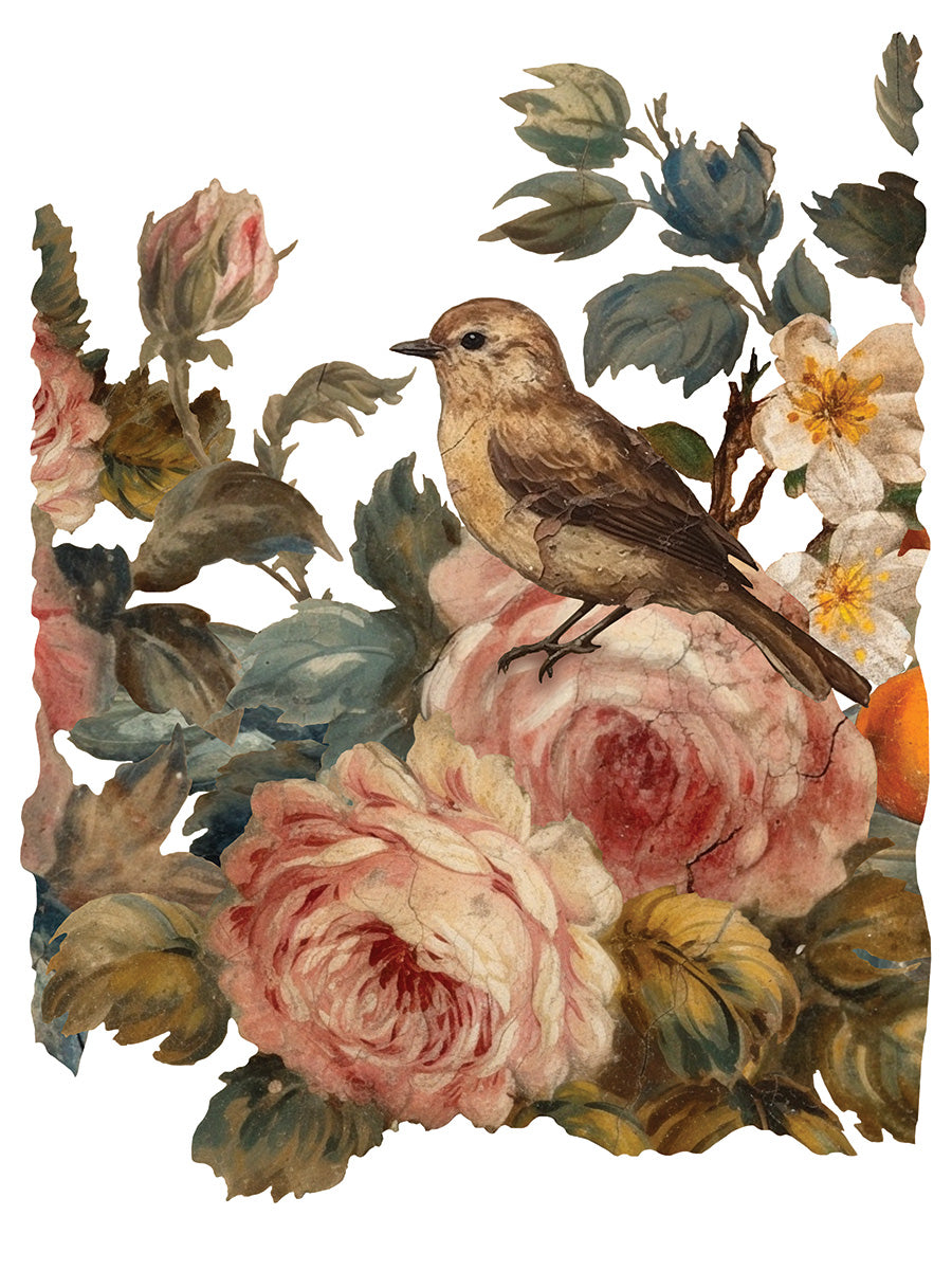 Transfer | JOIE DES ROSES | IOD Iron Orchid Designs