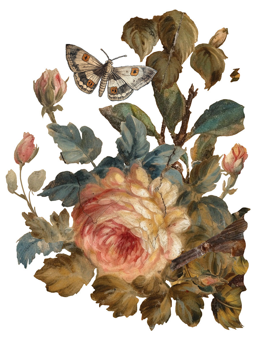Transfer | JOIE DES ROSES | IOD Iron Orchid Designs