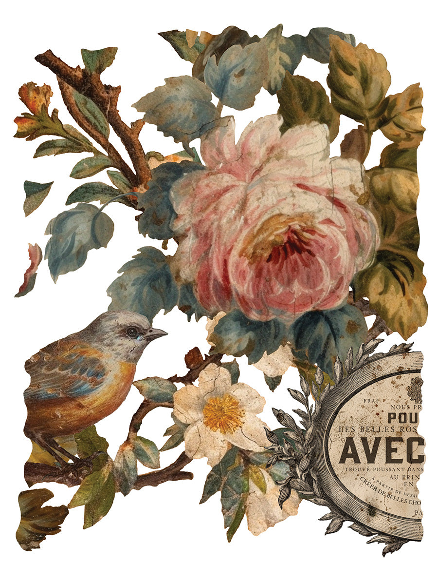 Transfer | JOIE DES ROSES | IOD Iron Orchid Designs