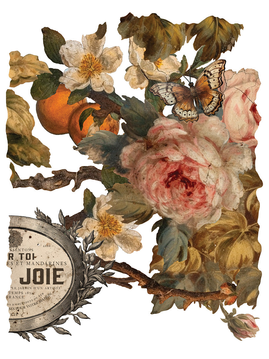 Transfer | JOIE DES ROSES | IOD Iron Orchid Designs