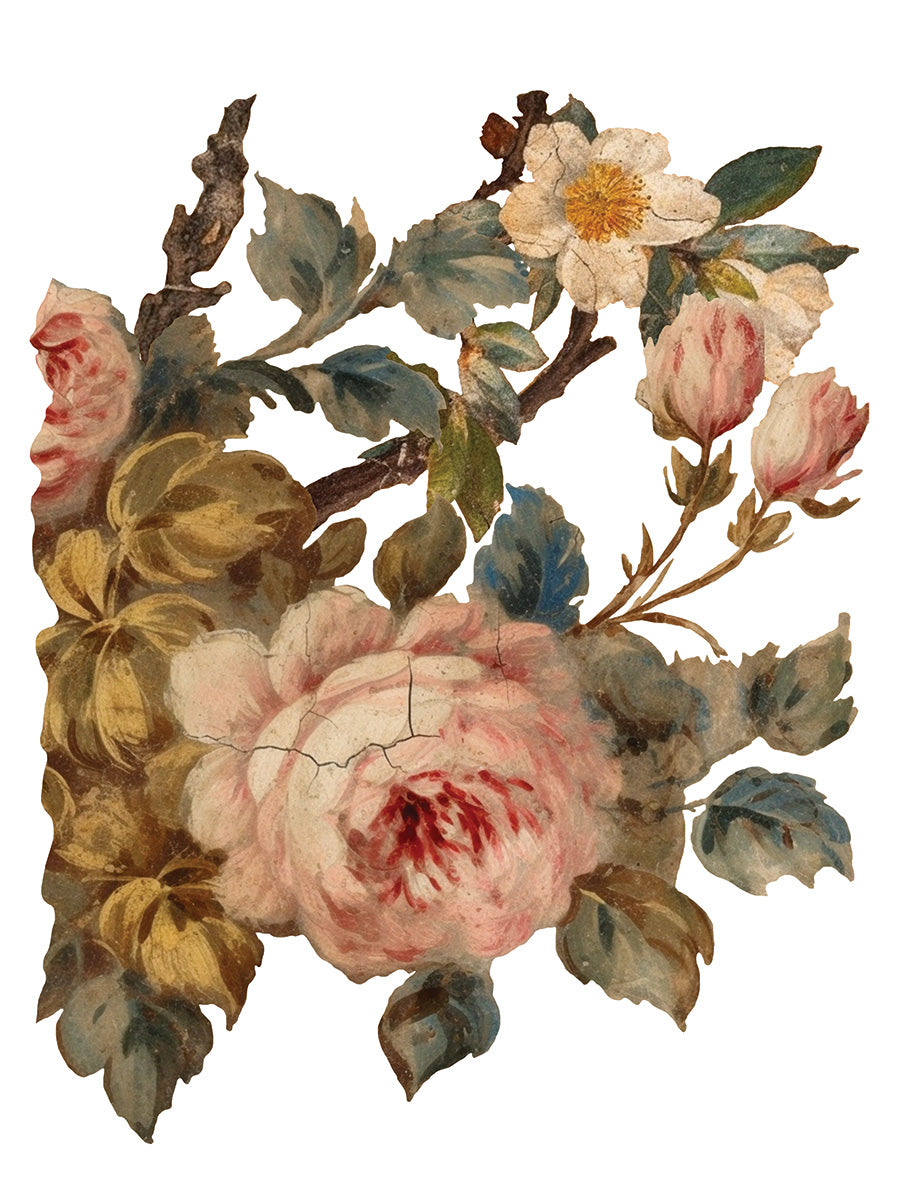Transfer | JOIE DES ROSES | IOD Iron Orchid Designs