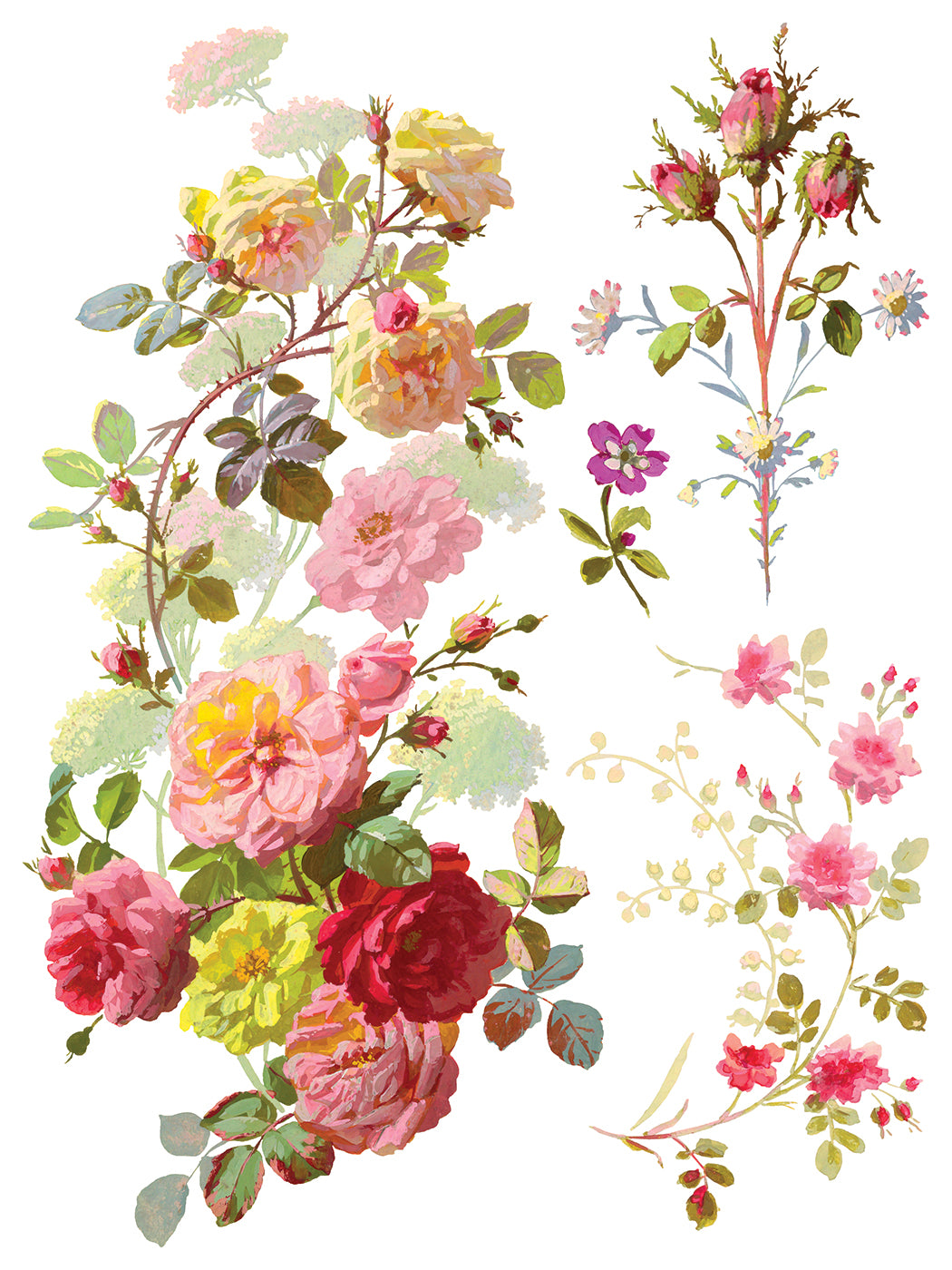 Transfer | SAINT GERMAIN | IOD Iron Orchid Designs