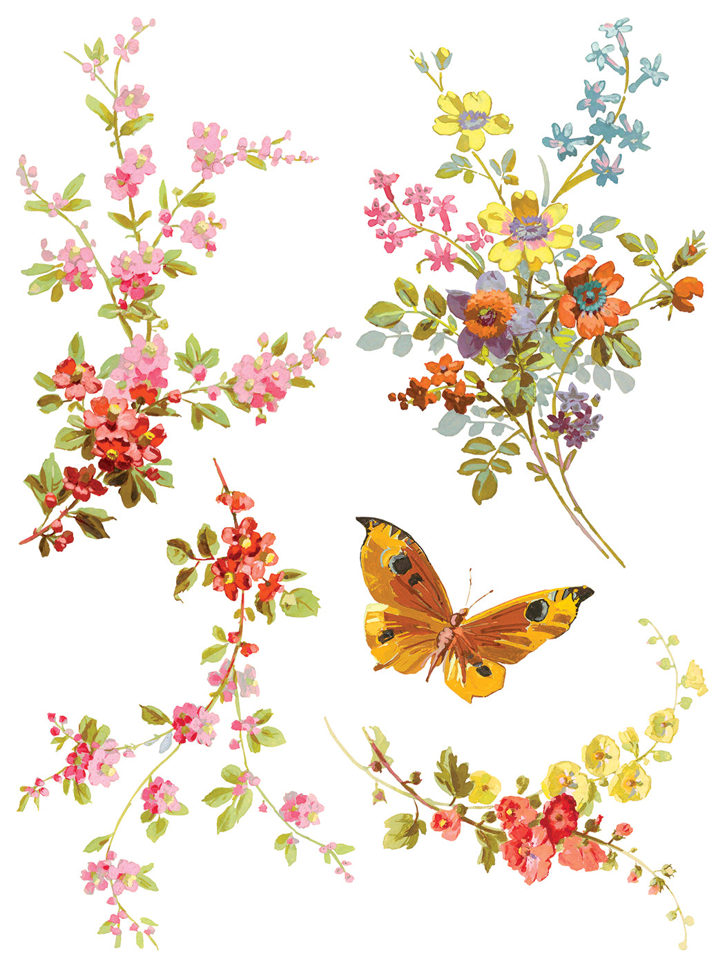 Transfer | SAINT GERMAIN | IOD Iron Orchid Designs