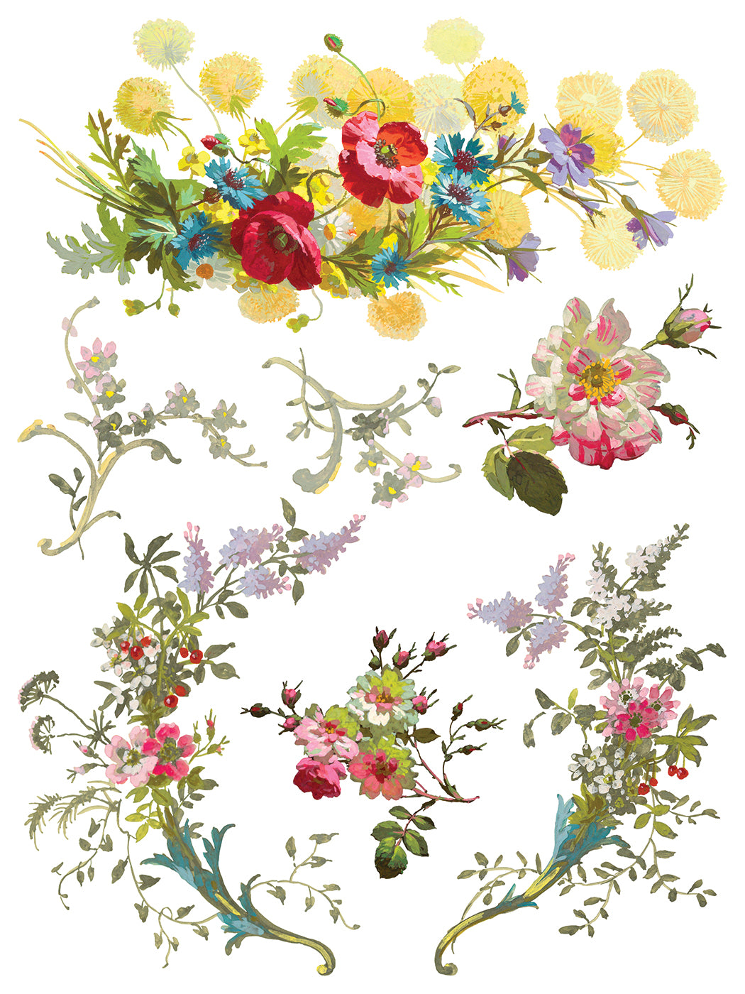 Transfer | SAINT GERMAIN | IOD Iron Orchid Designs