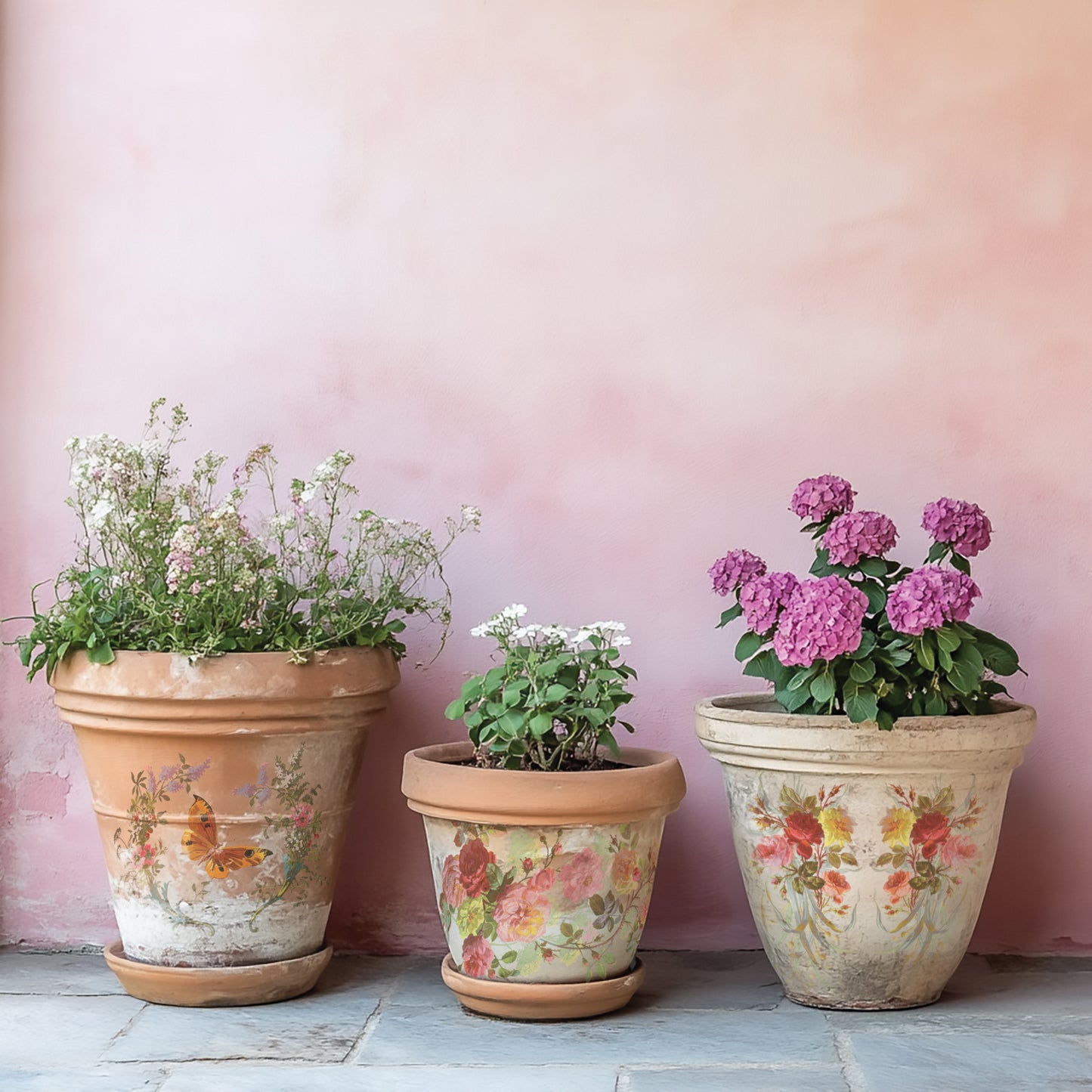 Transfer | SAINT GERMAIN | IOD Iron Orchid Designs