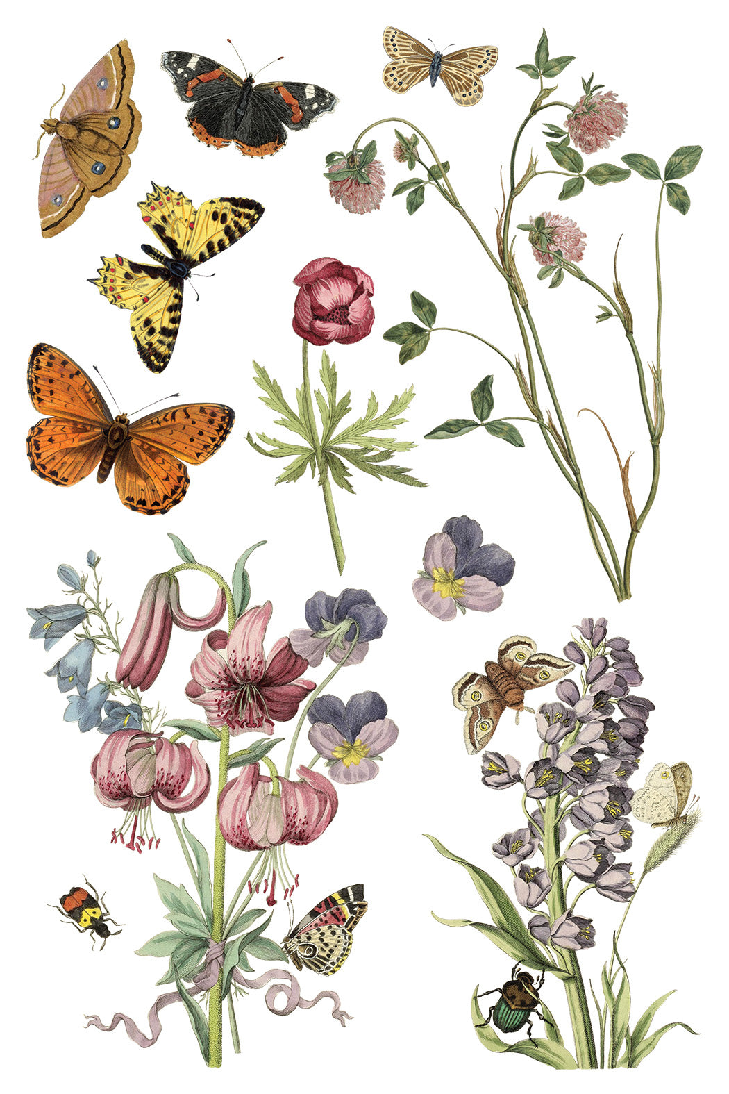 Transfer | WILDE BLOEMEN | IOD Iron Orchid Designs
