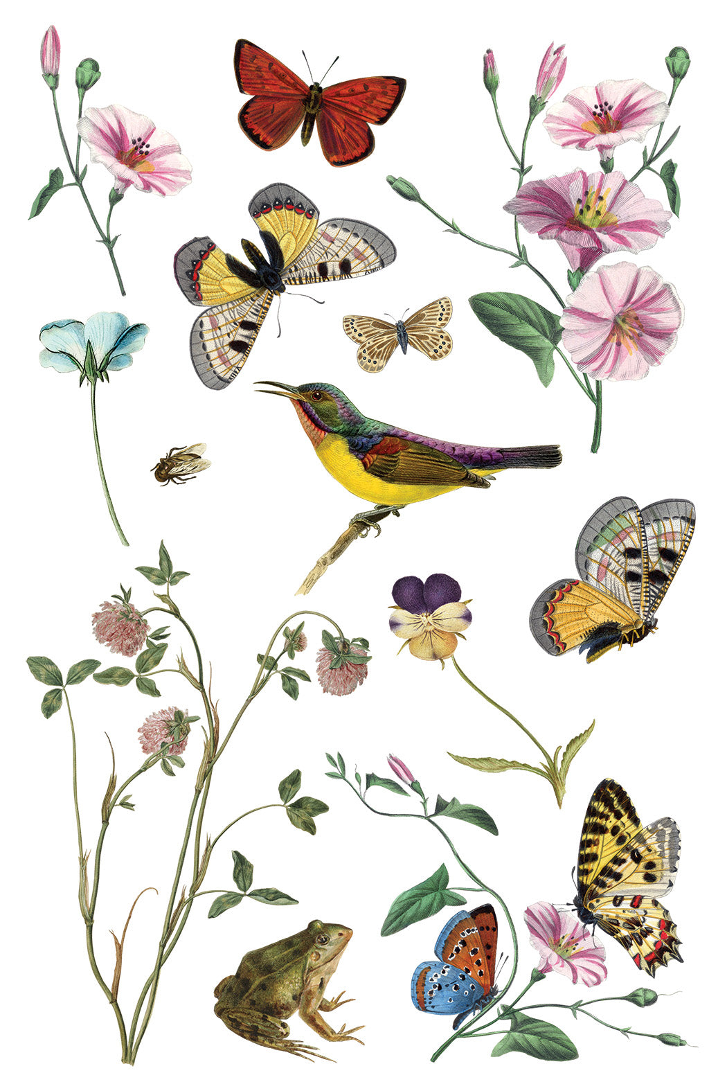 Transfer | WILDE BLOEMEN | IOD Iron Orchid Designs