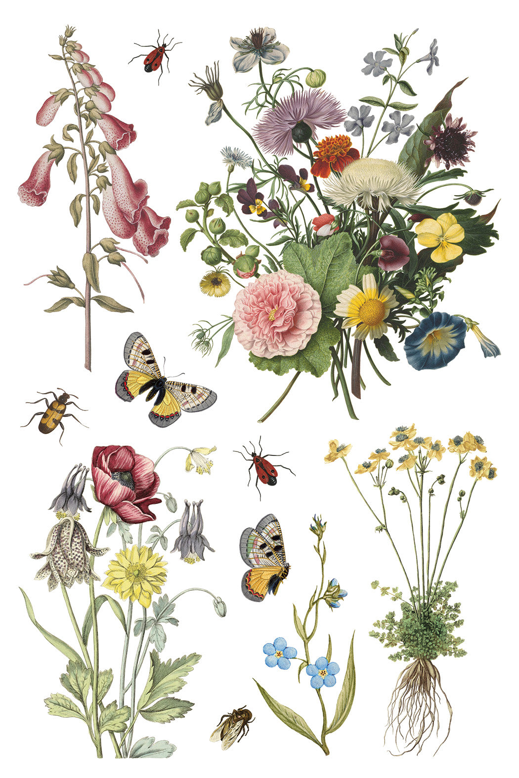 Transfer | WILDE BLOEMEN | IOD Iron Orchid Designs