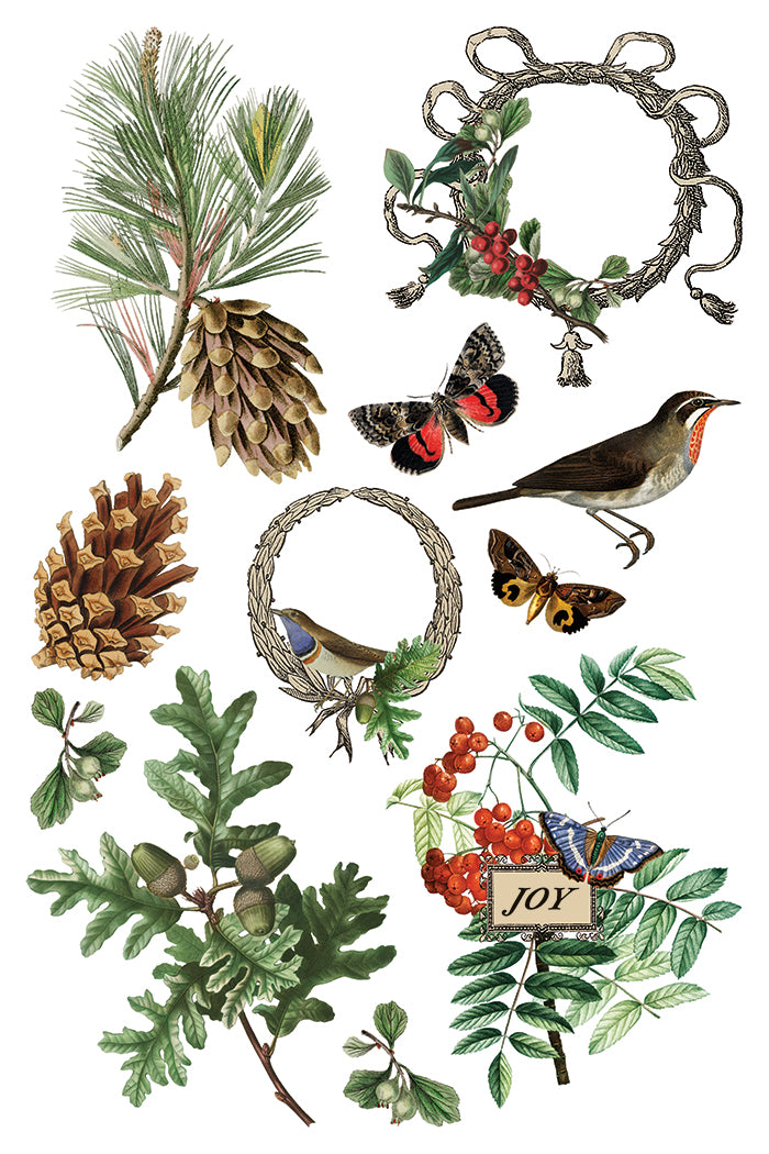 Transfer | WINTER BOTANIST | IOD Iron Orchid Designs