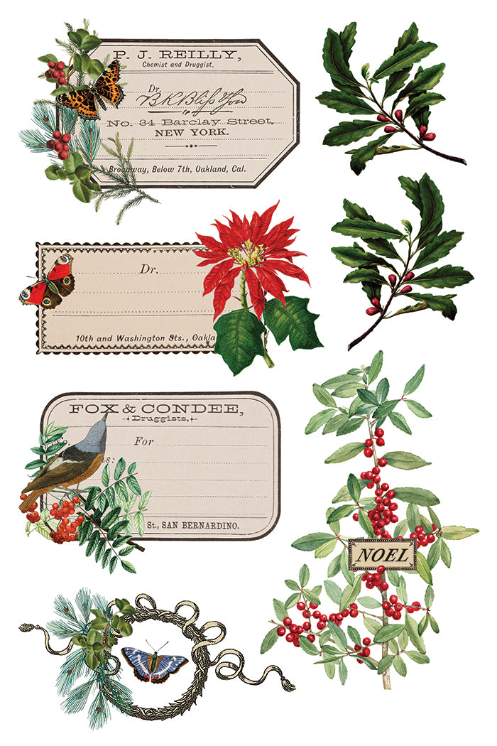 Transfer | WINTER BOTANIST | IOD Iron Orchid Designs