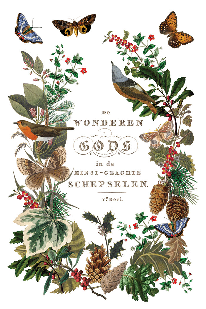 Transfer | WINTER BOTANIST | IOD Iron Orchid Designs