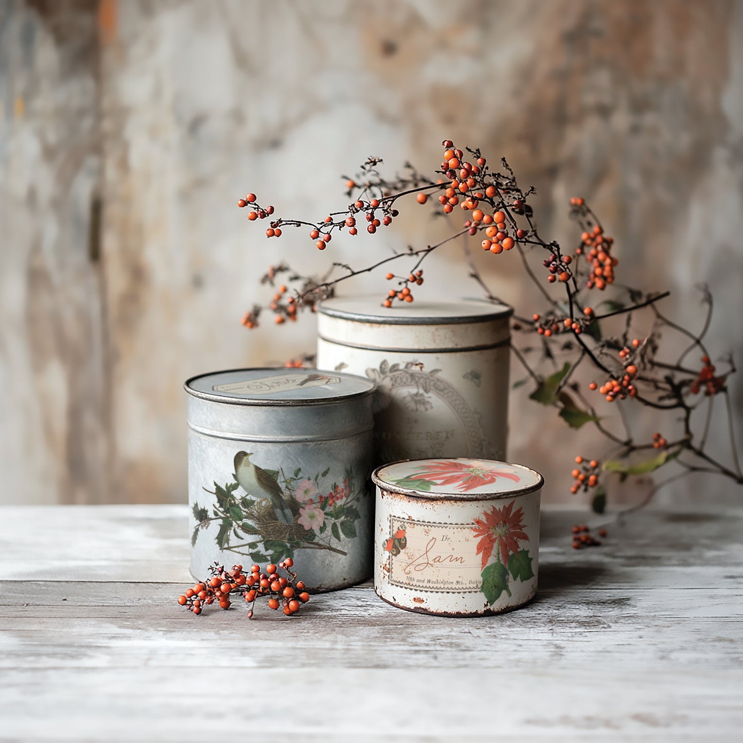 Transfer | WINTER BOTANIST | IOD Iron Orchid Designs