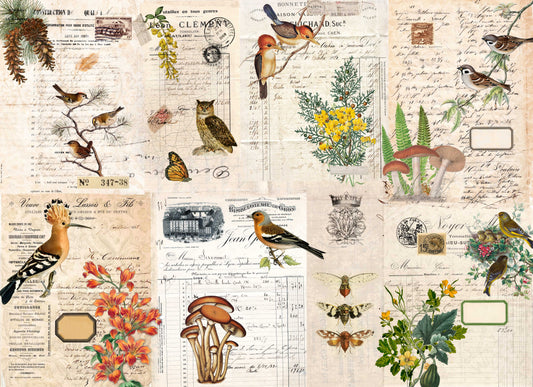 Fall Botanical Project Blocks - Roycycled Decoupage Paper FREE SHIPPING