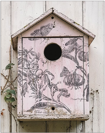 Stamp | NATURE'S ETCHINGS | IOD Iron Orchid Designs