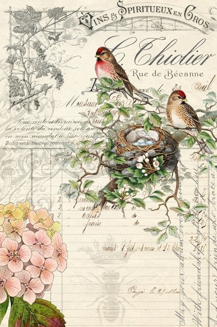 Bird Ephemera - Roycycled Decoupage Paper FREE SHIPPING