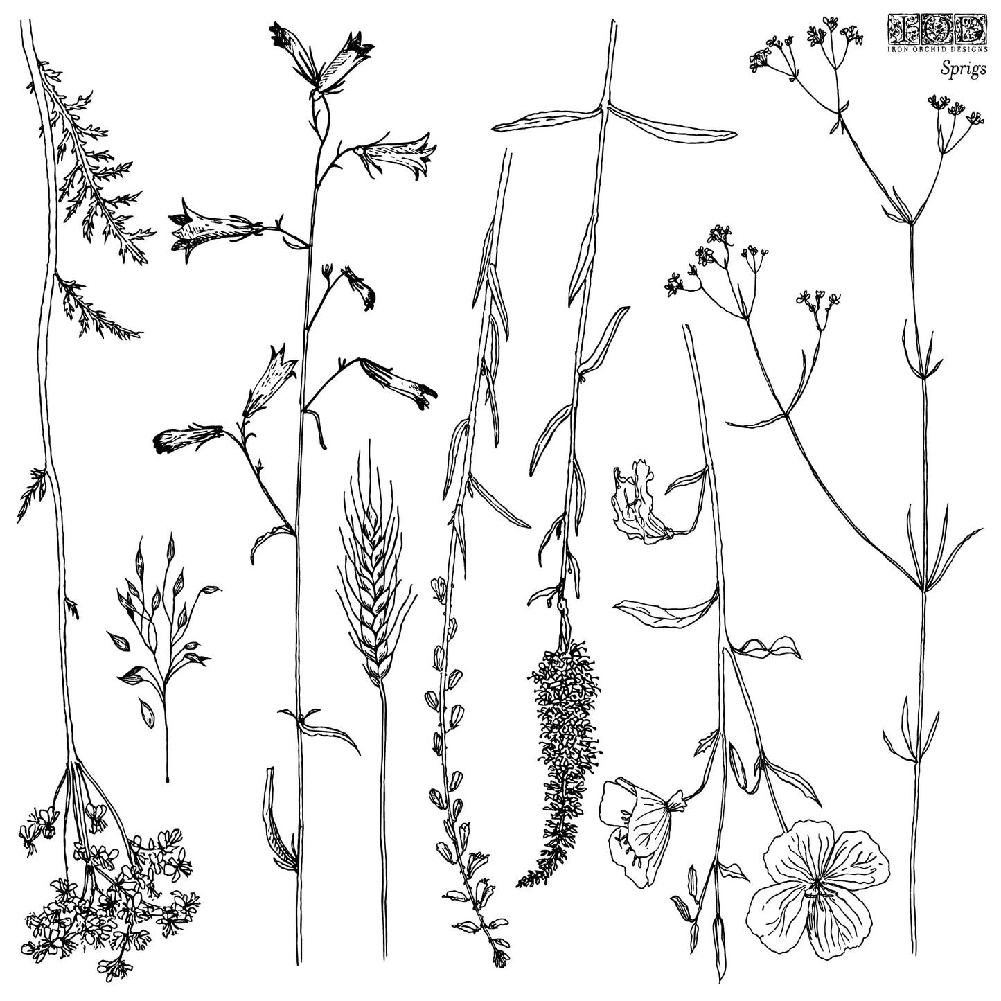 Stamp | SPRIGS | IOD Iron Orchid Designs