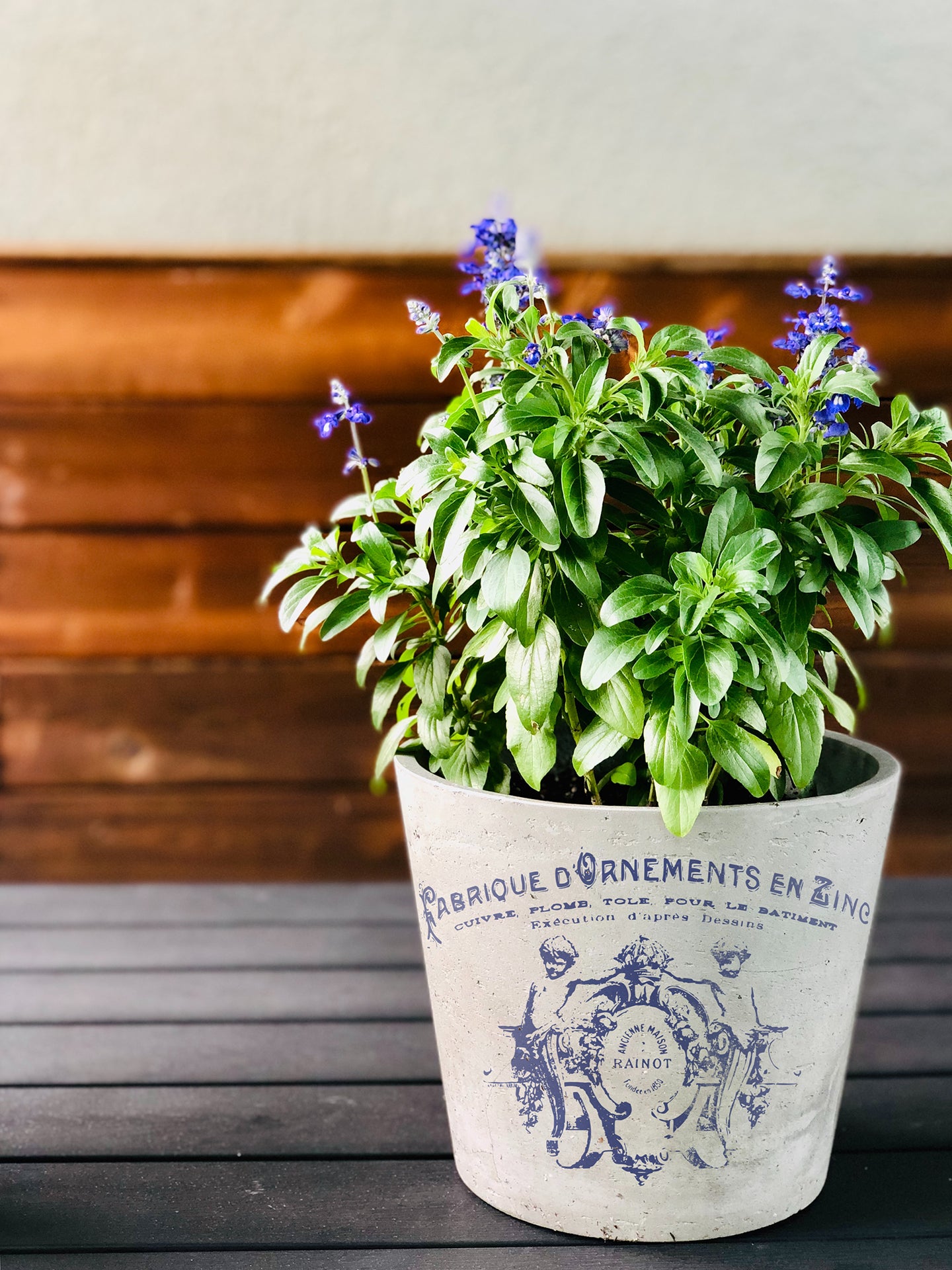 Transfer | TRADITIONAL POTS | IOD Iron Orchid Designs