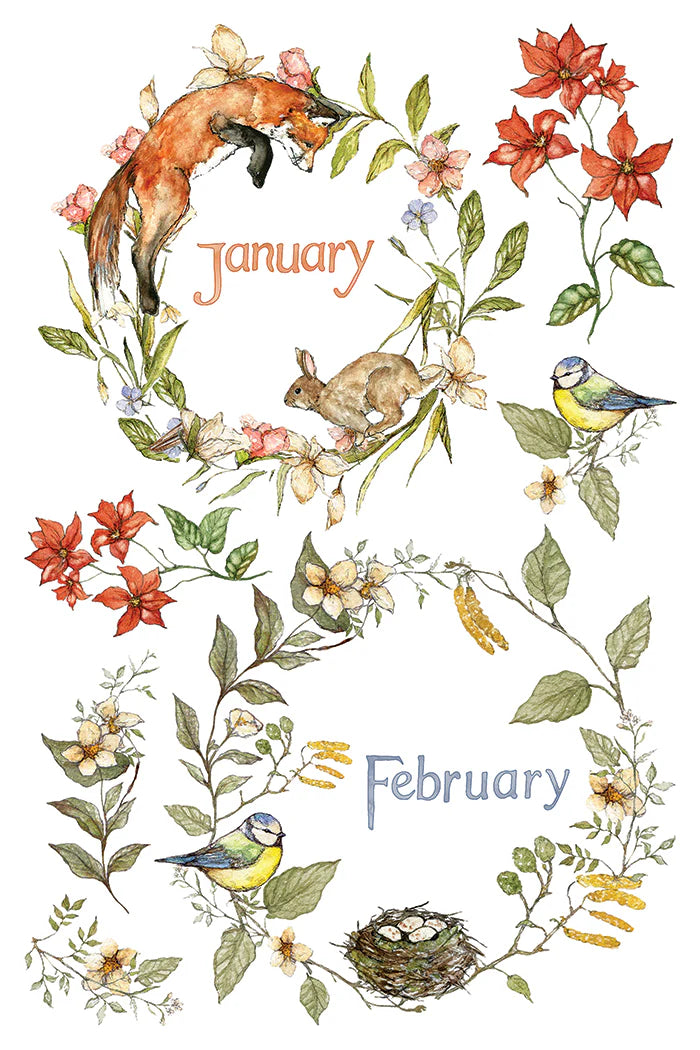 Transfer | THE BRAMBLEWOOD DIARIES | IOD Iron Orchid Designs