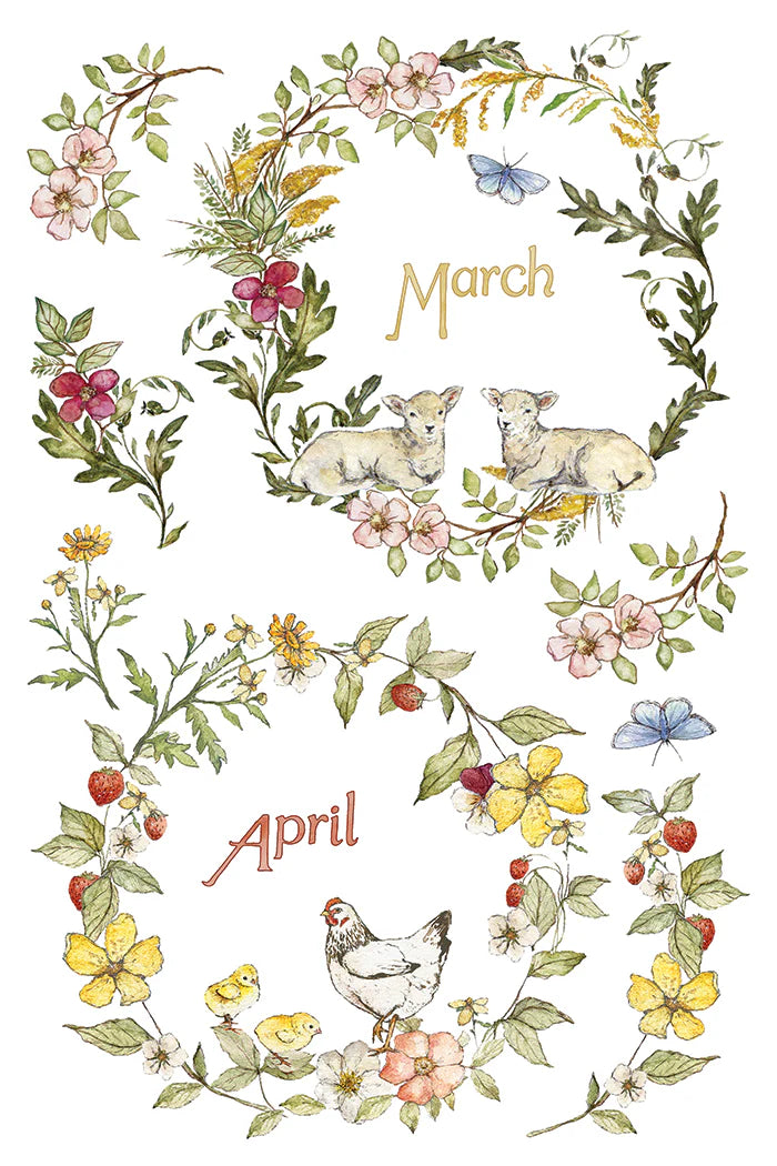 Transfer | THE BRAMBLEWOOD DIARIES | IOD Iron Orchid Designs