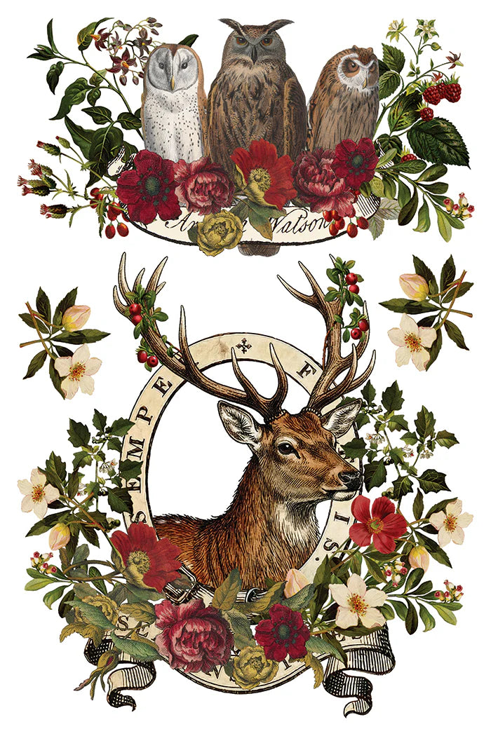 Transfer | STAG TAVERN | IOD Iron Orchid Designs LIMITED EDITION