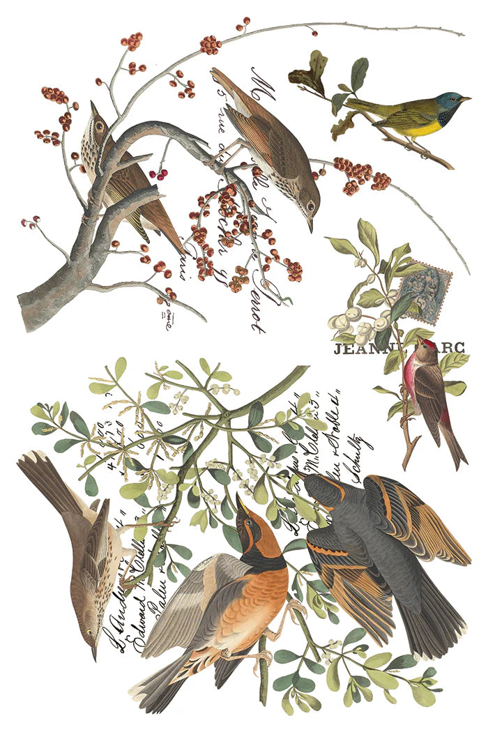 Transfer | WINTER'S CALLING | IOD Iron Orchid Designs LIMITED EDITION