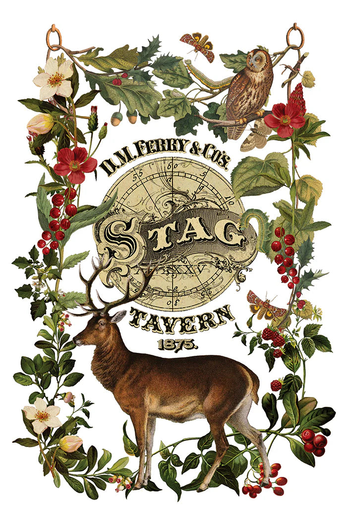 Transfer | STAG TAVERN | IOD Iron Orchid Designs LIMITED EDITION