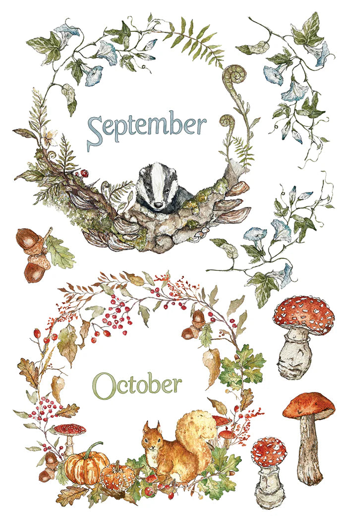 Transfer | THE BRAMBLEWOOD DIARIES | IOD Iron Orchid Designs