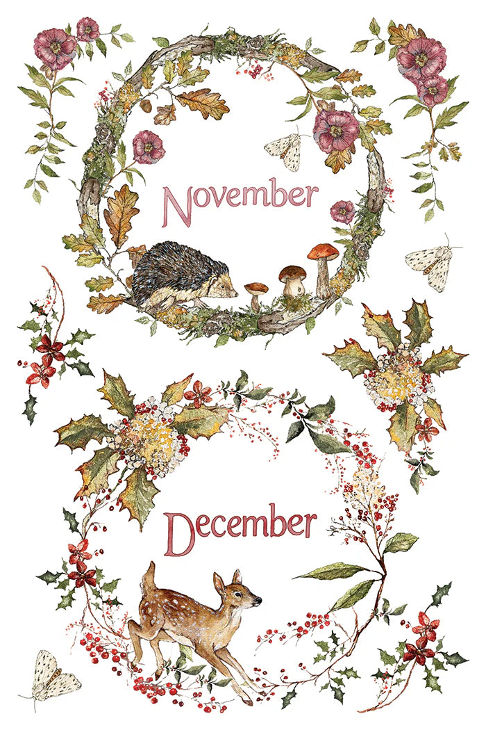 Transfer | THE BRAMBLEWOOD DIARIES | IOD Iron Orchid Designs