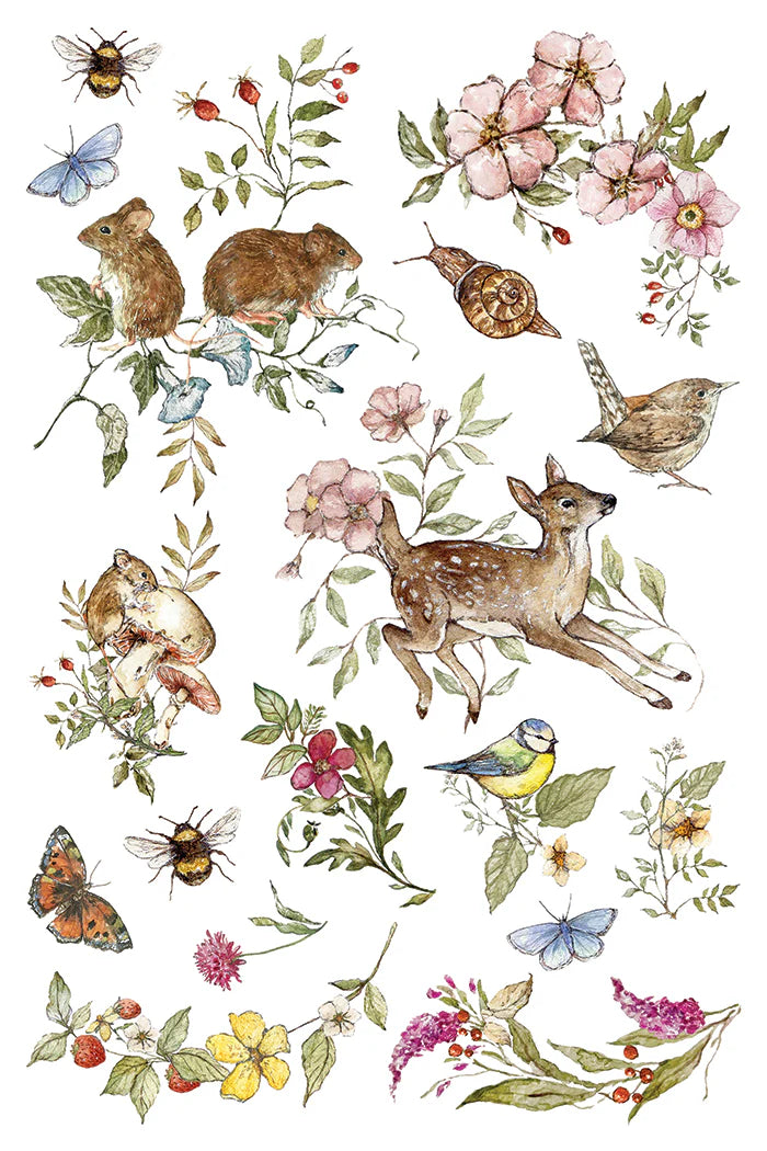 Transfer | THE BRAMBLEWOOD DIARIES | IOD Iron Orchid Designs