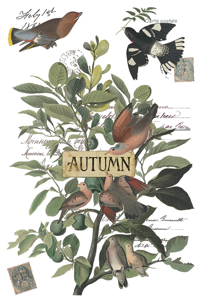 Transfer | WINTER'S CALLING | IOD Iron Orchid Designs LIMITED EDITION