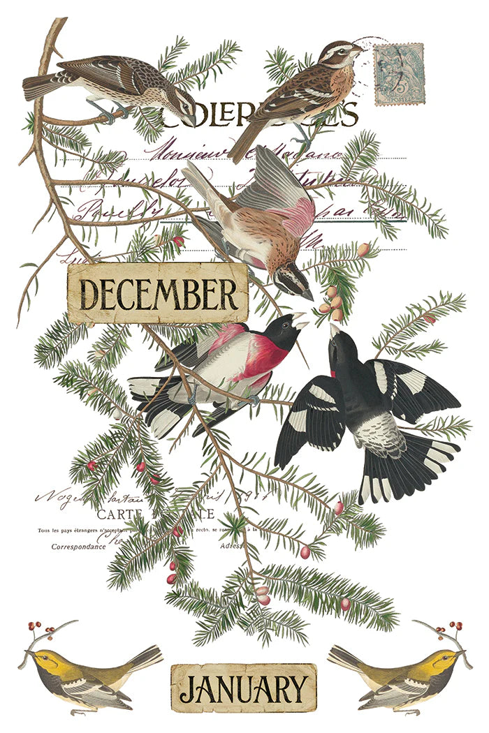 Transfer | WINTER'S CALLING | IOD Iron Orchid Designs LIMITED EDITION