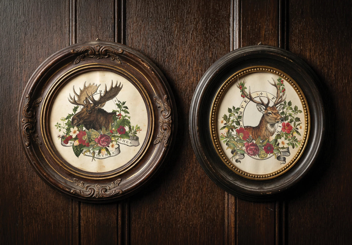 Transfer | STAG TAVERN | IOD Iron Orchid Designs LIMITED EDITION