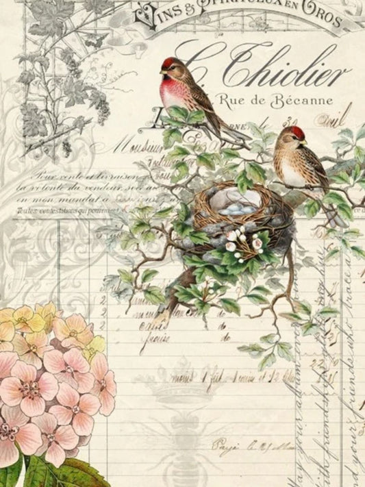 ROYCYCLED | Bird Ephemera 18# Tissue Paper