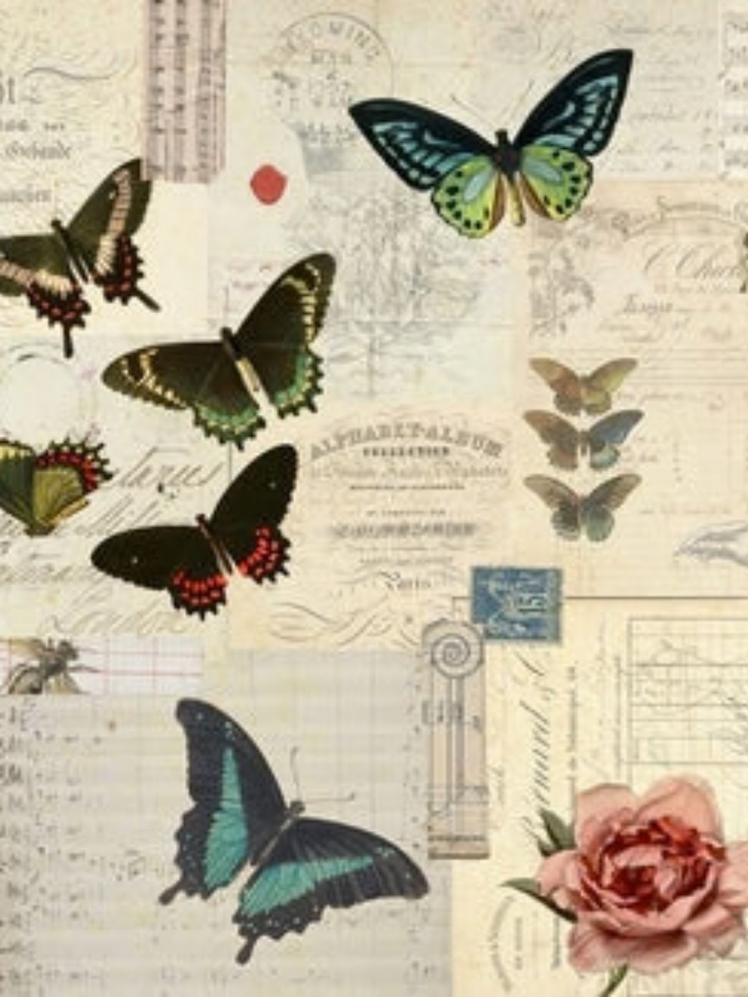 ROYCYCLED | Butterfly Masterboard