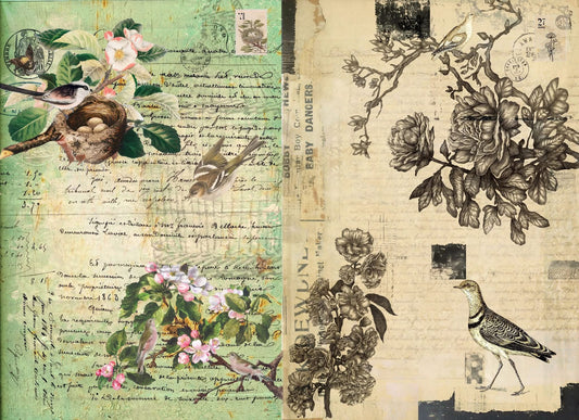 Botanical Blocks - Roycycled Decoupage Paper FREE SHIPPING