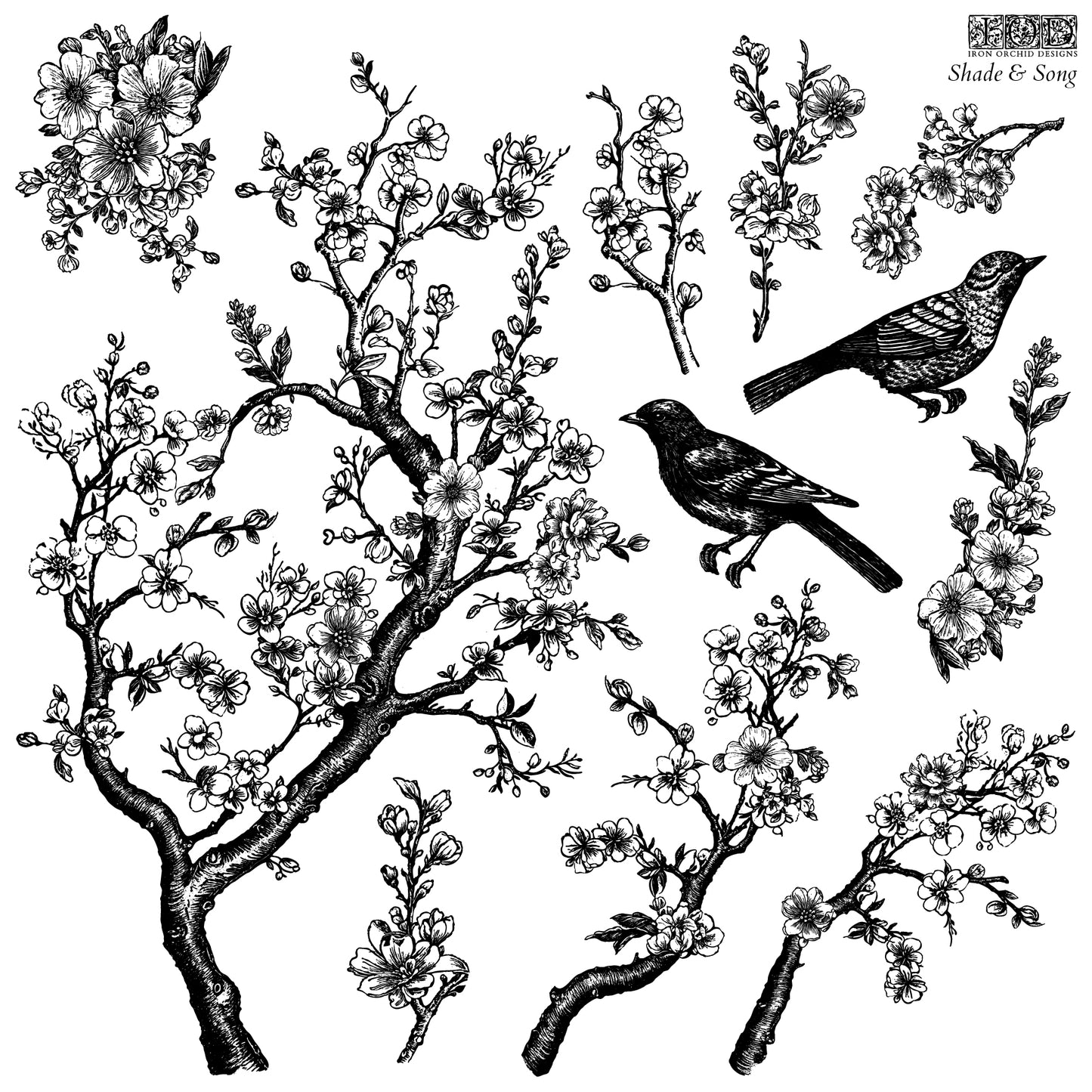 Stamp | SHADE & SONG | IOD Iron Orchid Designs