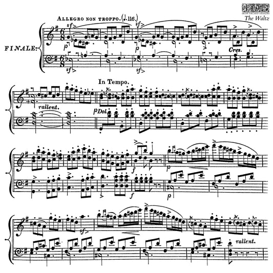 Stamp | THE WALTZ | IOD Iron Orchid Designs