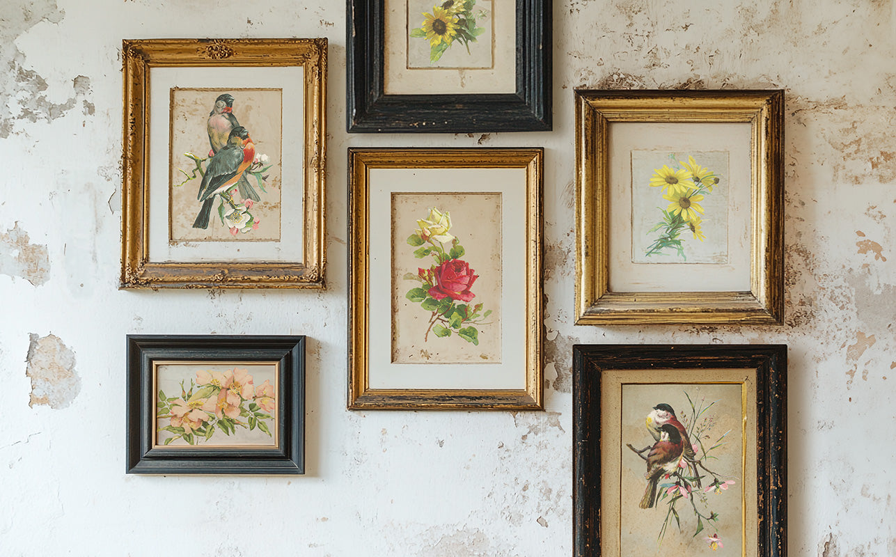 Transfer | CATHARINA | IOD Iron Orchid Designs