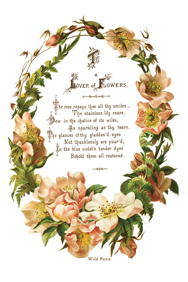 Transfer | LOVER OF FLOWERS | IOD Iron Orchid Designs