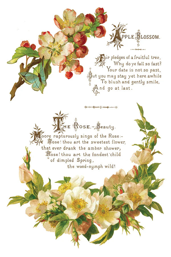 Transfer | LOVER OF FLOWERS | IOD Iron Orchid Designs