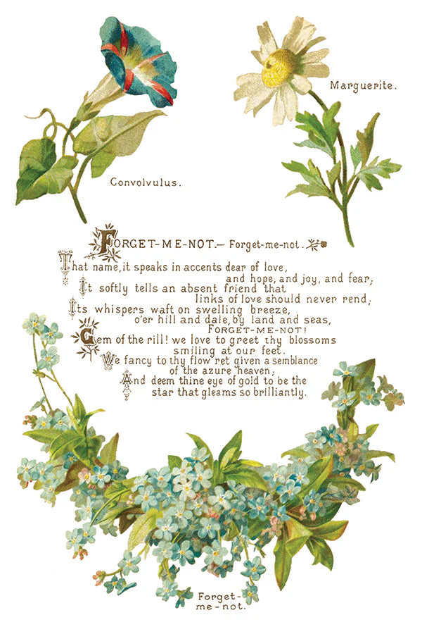 Transfer | LOVER OF FLOWERS | IOD Iron Orchid Designs