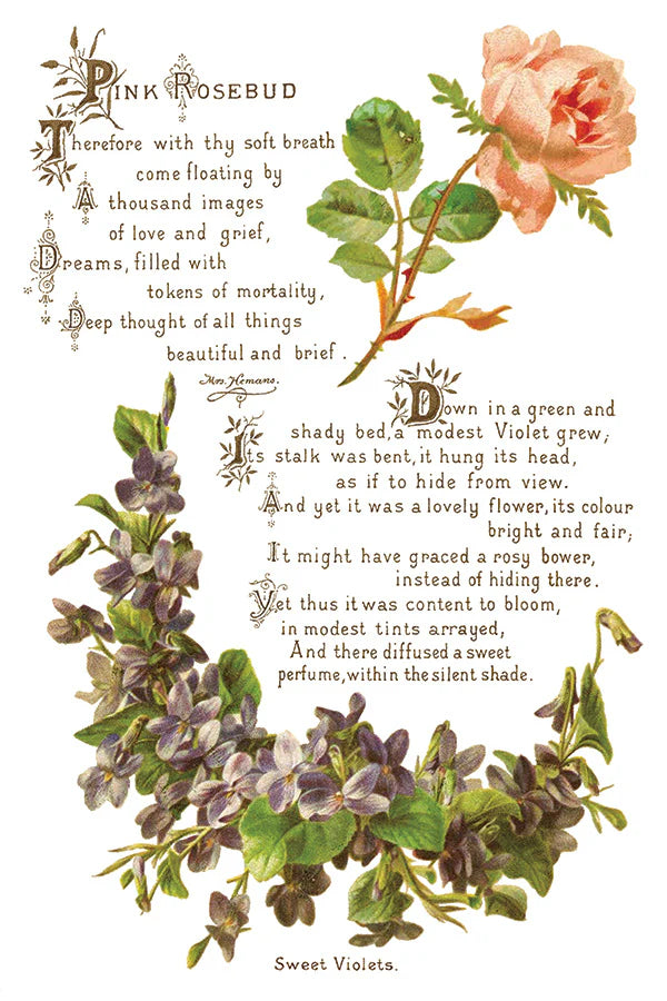 Transfer | LOVER OF FLOWERS | IOD Iron Orchid Designs