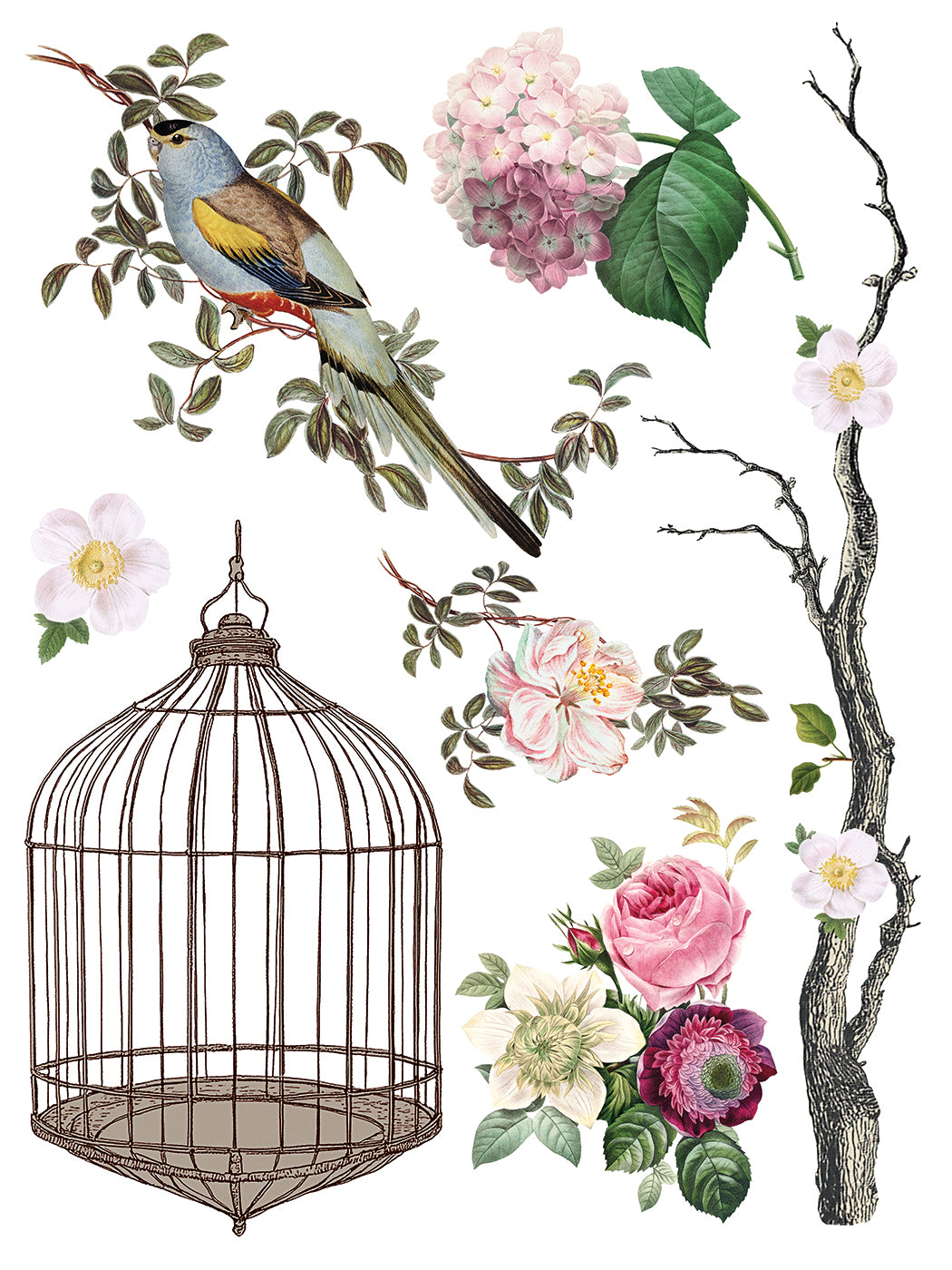 Transfer | MENAGERIE | IOD Iron Orchid Designs