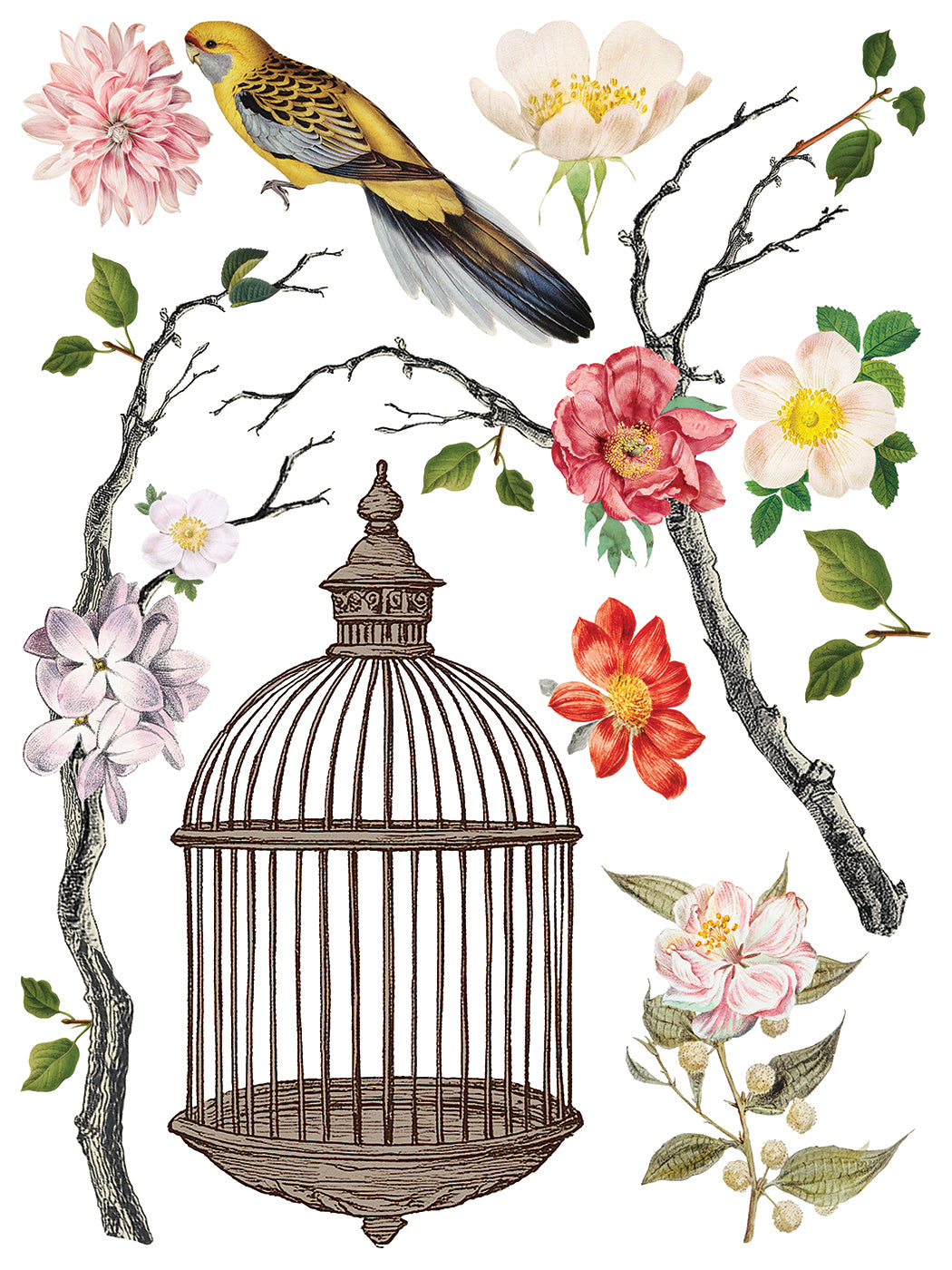 Transfer | MENAGERIE | IOD Iron Orchid Designs